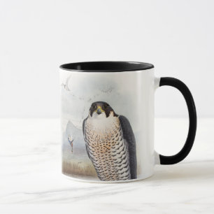 Mug Oiseaux de John Gould de faucon pérégrin de la