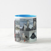 Mug Oiseaux de l'Antarctique (Centre)