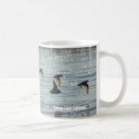 Oiseaux de rivage en vol