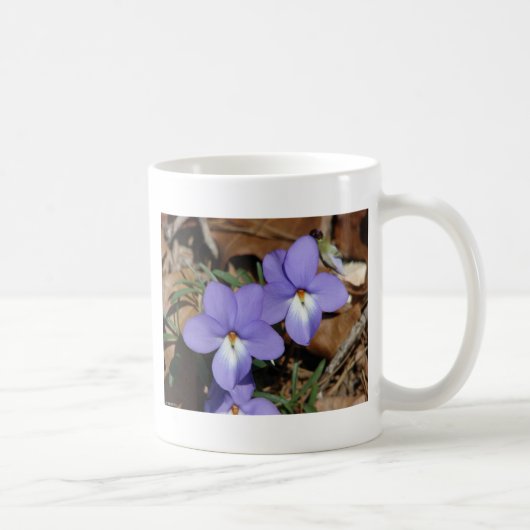 Mug Oiseaux fleur sauvage-Pied Violet III Cadeaux et v (Droite)