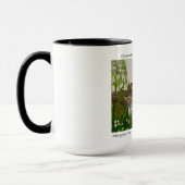 Mug Olmstead's Mill, Warren County, IL c. MEJP 1983 (Gauche)