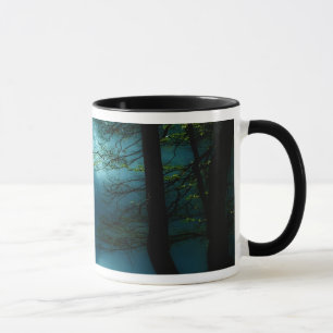 Mug Ombres