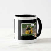 Mug Onwurd, nobul steed ! (Devant droit)