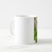 Mug Opossum dans un arbre (Devant gauche)