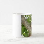 Mug Opossum dans un arbre (Centre)