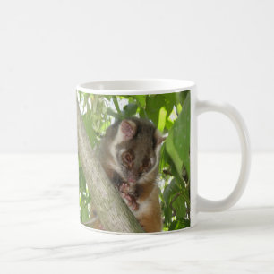 Mug Opossum dans un arbre