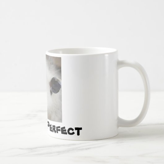 Mug Opposum bigle, Heidi (Droite)