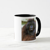 Mug Orang-outan Pongo Pygmaeus (Devant droit)