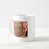 Mug Orange Tabby (Devant gauche)