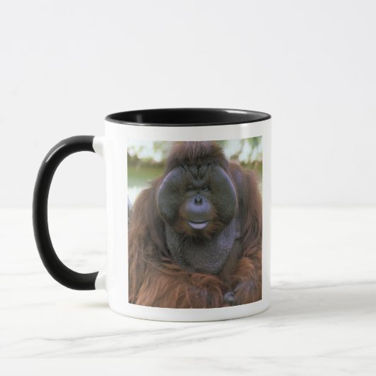 Mug Orangoutan Pongo Pygmaeus (Gauche)
