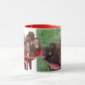 Mug Orangutans (Centre)