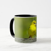 Mug Orchard Oriole - Photo originale (Devant gauche)