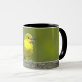 Mug Orchard Oriole - Photo originale (Devant droit)