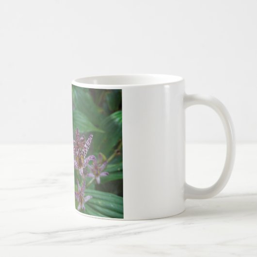 Mug Orchidée blanche rayée violette rose comme lys de  (Droite)