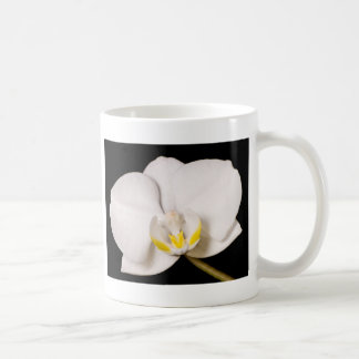 Mug Orchidée blanche sur le noir