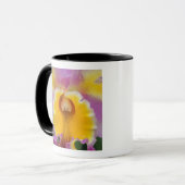 Mug Orchidée hybride, Floride (Devant gauche)
