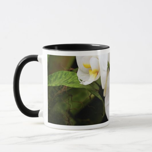 Mug Orchidée Lune Blanche (Phalaenopsis Aphrodite) (Gauche)
