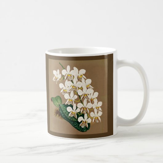 Mug Orchidées Blanches Impression Botanique, Arrière - (Droite)