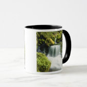 Mug Oregon, Cascade dans le parc national Willamette (Devant droit)