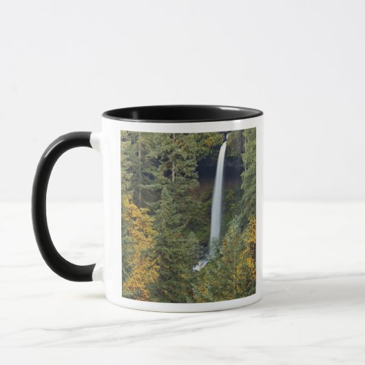 Mug Oregon, parc d'État de Silver Falls, North Falls (Gauche)