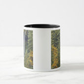 Mug Oregon, Silver Falls State Park, North Falls (Centre)