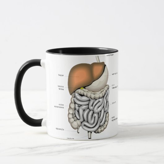 Mug Organes digestifs (Gauche)