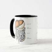 Mug Organes digestifs (Devant gauche)