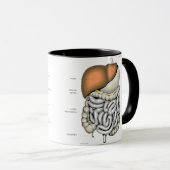 Mug Organes digestifs (Devant droit)