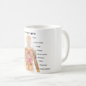 Mug Organes internes importants dans le diagramme de (Devant droit)