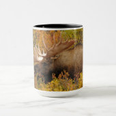 Mug Orignal | Parc national de Denali, Alaska (Centre)