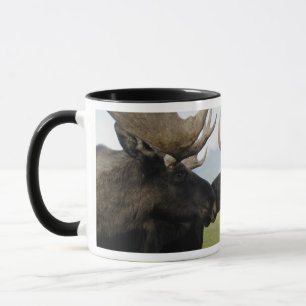Mug Orignaux