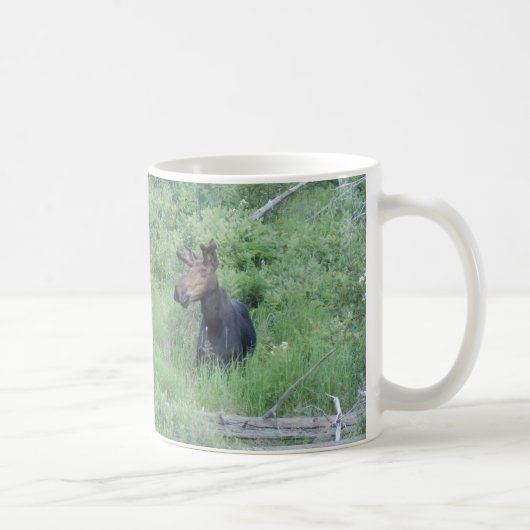 Mug Orignaux 2 de Greenville (Droite)