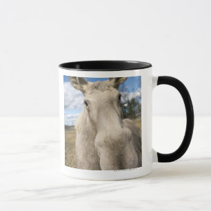 Mug Orignaux sur un champ, Suède