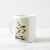 Mug Orioles, Thrushes, des oiseaux d'Amérique d'Audubo (Devant gauche)