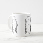 Mug Os du bassin (Devant gauche)