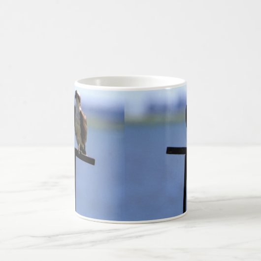 Mug Osprey Bird (Centre)