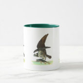 Mug Osprey par John James Audubon (Centre)
