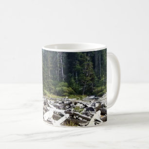 Mug Oswald West State Park, Oregon Coast