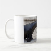 Mug Otaria flavescens (Gauche)