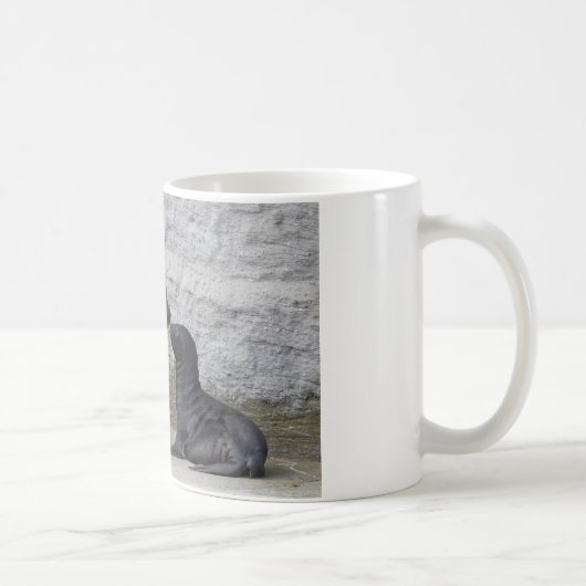Mug Otaria flavescens (Droite)