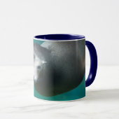 Mug Otarie de Smithsonien | (Devant droit)