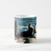 Mug Otaries de San Diego (Centre)