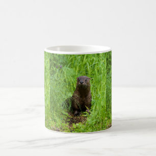 Mug Otter