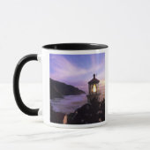 Mug OU, sur la côte de l'Oregon, phare de Heceta Head, (Gauche)