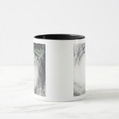 Mug Ouragan Dean 2 (Centre)