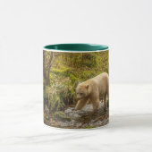 Mug Ours blanc fantôme chasse le poisson dans le ruiss (Centre)