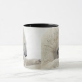 Mug Ours blanc s'engageant dans un combat avec un (Centre)