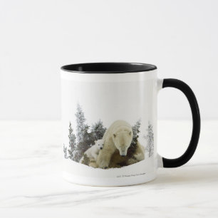 Mug Ours blancs au parc national de Wapusk