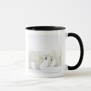 Mug Ours blancs se tenant sur la neige après le jeu d