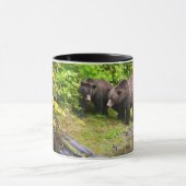 Mug Ours Brown & Cube | Hyder, Alaska (Centre)